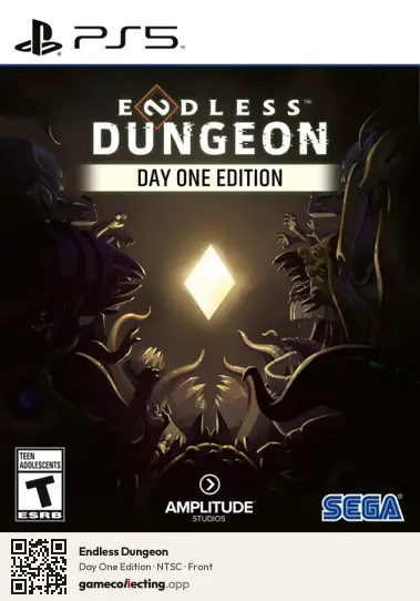 Endless Dungeon PlayStation 5, NTSC box front