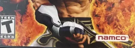 Tekken 5, the ESRB box on its front