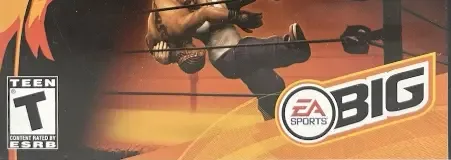 Def Jam Vendetta, the ESRB box on its front