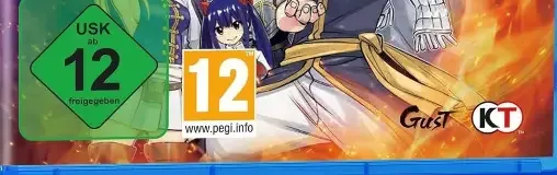 Fairy Tail 2, the USK square on its front