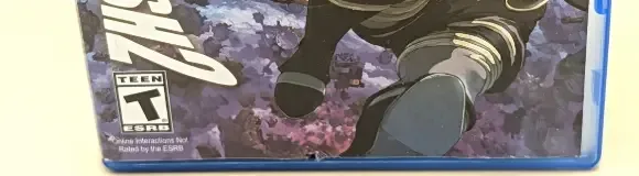 Gravity Rush 2, the ESRB box on its front