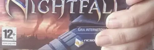 Guild Wars, the PEGI square on its front