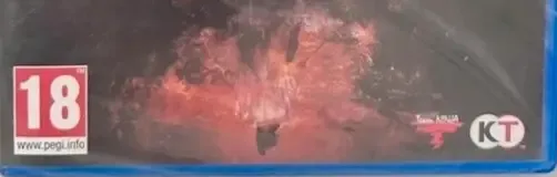 Nioh 3, the PEGI square on its front