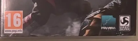 Risen 3: Titan Lords, the PEGI square on its front