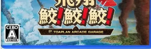 Toaplan Arcade Garage: Flying Fire Shark, the CERO letter on its front