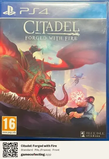 Citadel: Forged with Fire PlayStation 4, France box front