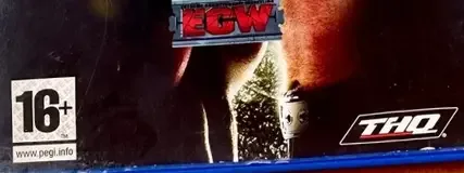 WWE SmackDown vs. Raw 2009, the PEGI square on its front