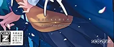 Tsukihime: A Piece of Blue Glass Moon, the CERO letter on its front
