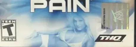 WWE Smackdown! Here Comes the Pain, the ESRB box on its front