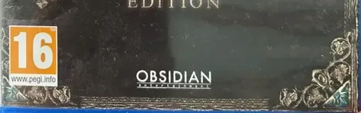Pillars of Eternity, the PEGI square on its front