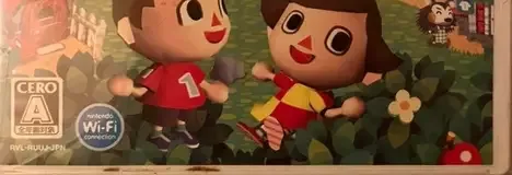 Animal Crossing: City Folk, the CERO letter on its front