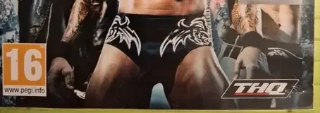 WWE SmackDown vs. Raw 2011, the PEGI square on its front