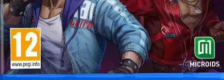 Double Dragon Revive, the PEGI square on its front