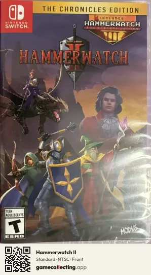 Hammerwatch II Nintendo Switch, NTSC box front