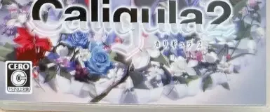The Caligula Effect 2, the CERO letter on its front