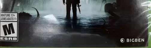 The Sinking City, the ESRB box on its front