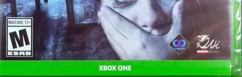 Maid of Sker, the ESRB box on its front