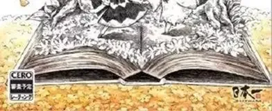 The Liar Princess and the Blind Prince, the CERO letter on its front