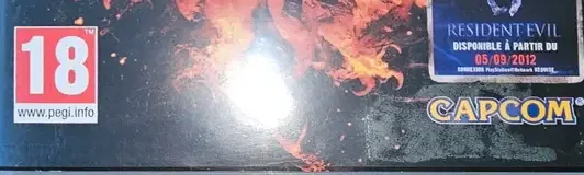 Dragon's Dogma, the PEGI square on its front