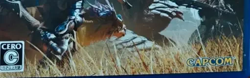 Monster Hunter Wilds, the CERO letter on its front