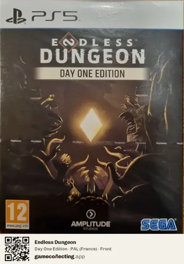 Endless Dungeon PlayStation 5, France box front