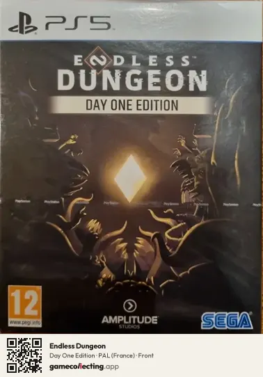 Endless Dungeon PlayStation 5, France box front