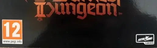 Darkest Dungeon II, the PEGI square on its front