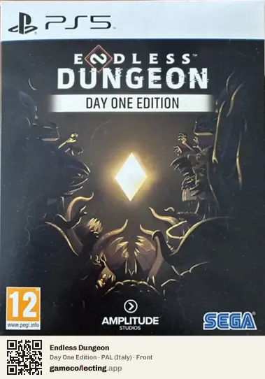 Endless Dungeon PlayStation 5, Italy box front
