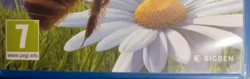Bee Simulator, the PEGI square on its front