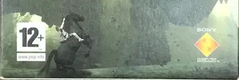 Shadow of the Colossus, the PEGI square on its front