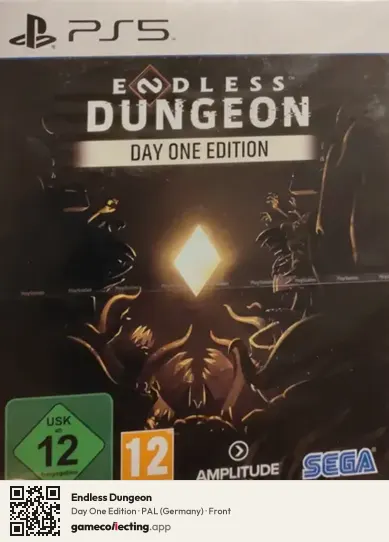 Endless Dungeon PlayStation 5, Germany box front