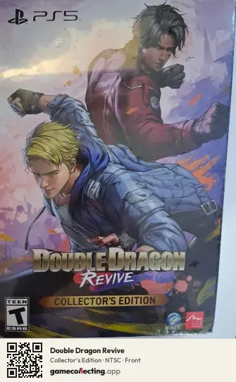 Double Dragon Revive PlayStation 5, NTSC box front