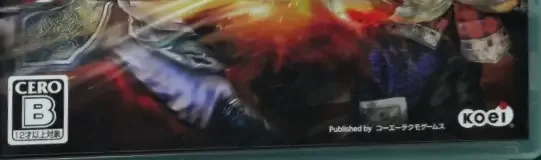 Warriors Orochi 3, the CERO letter on its front